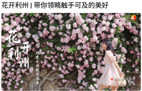 利州融媒体中心客户端