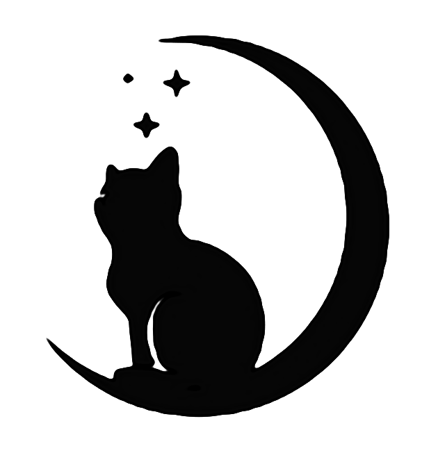 飞猫伴侣app免费版