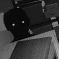 伪人监控模拟器(Alternate Watch)