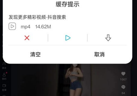 BL黑狮视频下载器app最新版 BL黑狮视频下载器app最新版