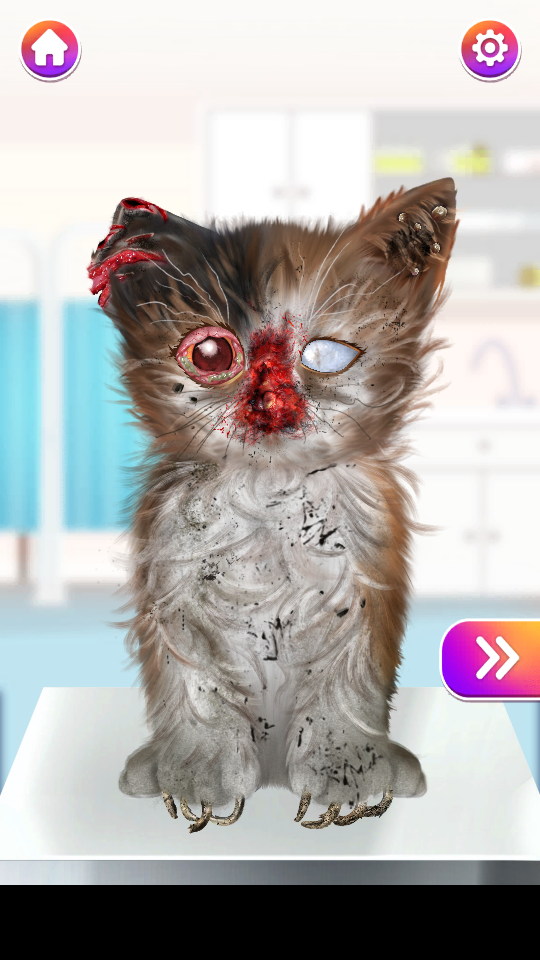 猫咪大变身游戏(Cat Makeover)
