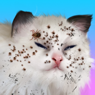 猫咪大变身游戏(Cat Makeover)